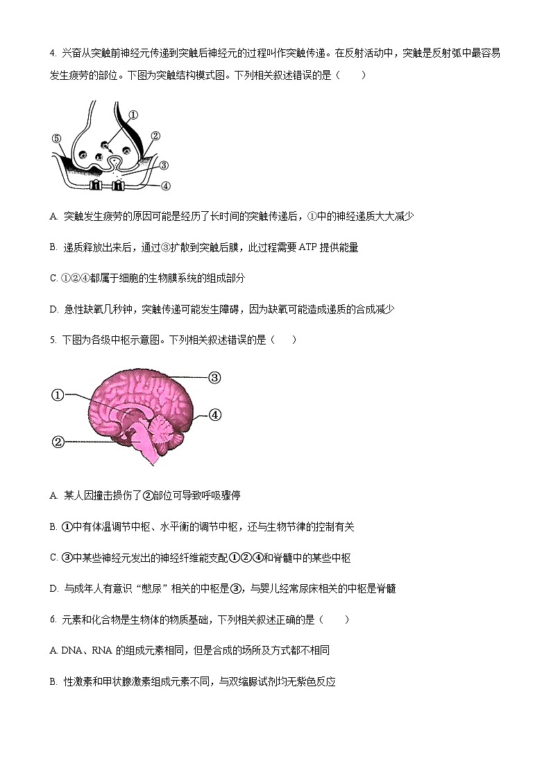 2023-2024学年浙江省舟山中学高二上学期10月月考生物试题含答案02