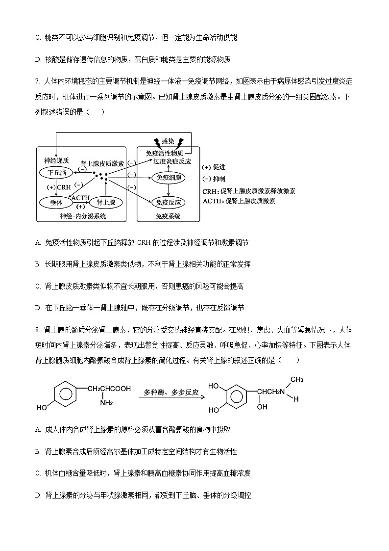 2023-2024学年浙江省舟山中学高二上学期10月月考生物试题含答案03