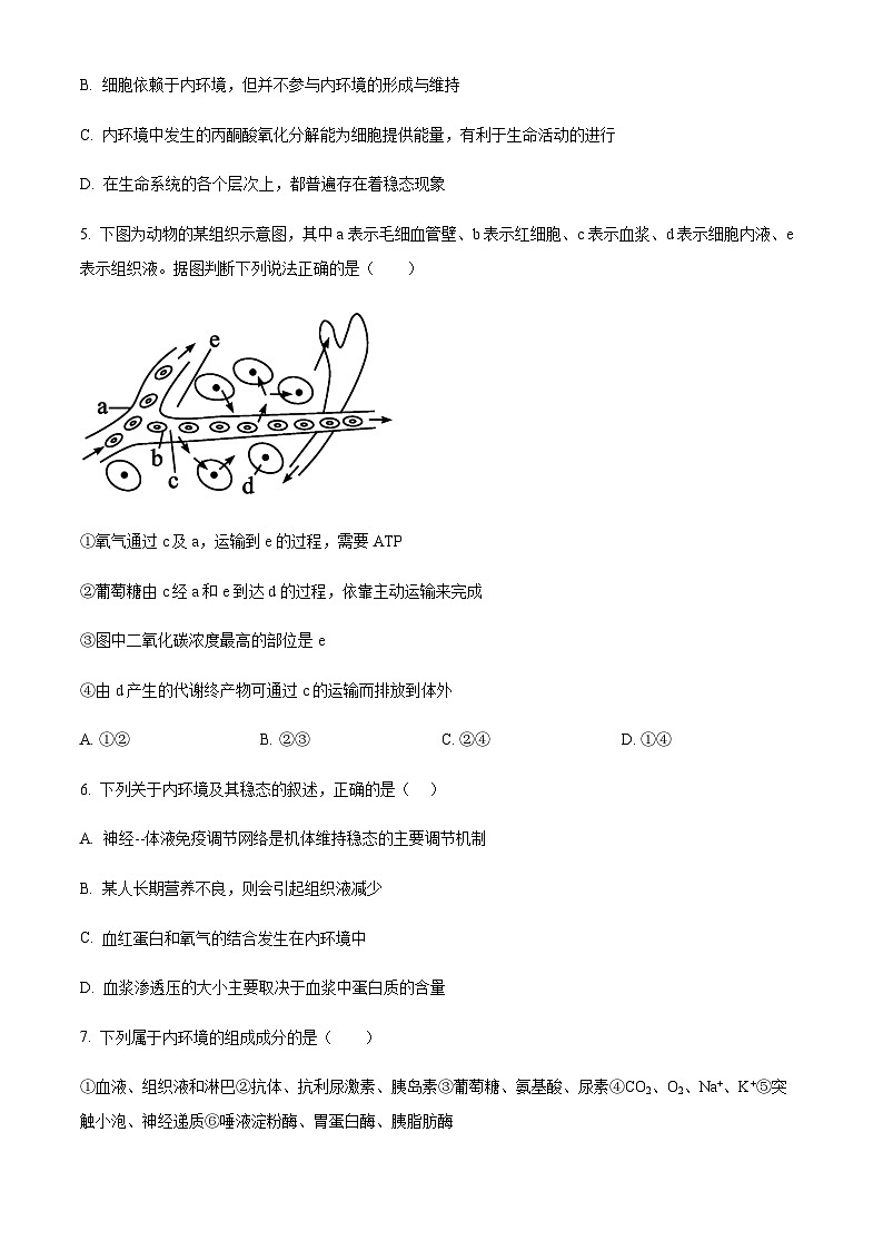 重庆市万州二中学教育集团2023-2024学年高二10月月考生物试题  Word版无答案第2页