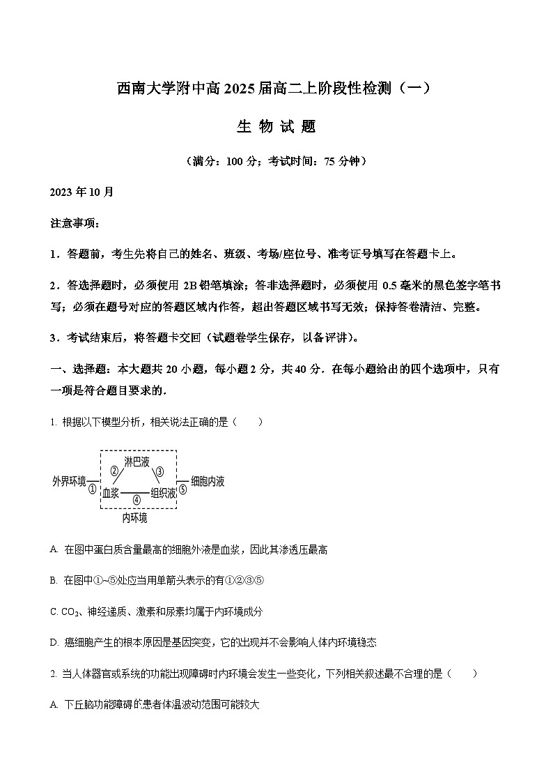 重庆市西南大学附中2023-2024学年高二10月阶段性检测生物试题  Word版无答案第1页
