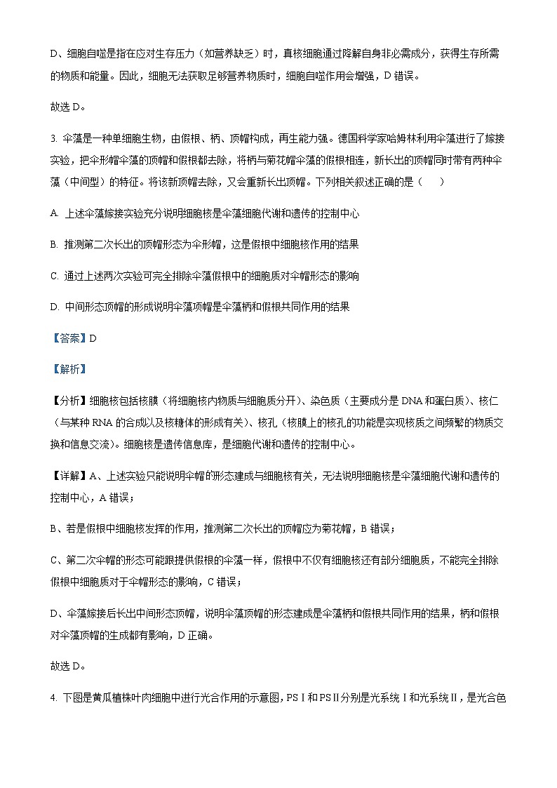 2022-2023学年安徽省黄山市高二下学期期末生物试题含答案03