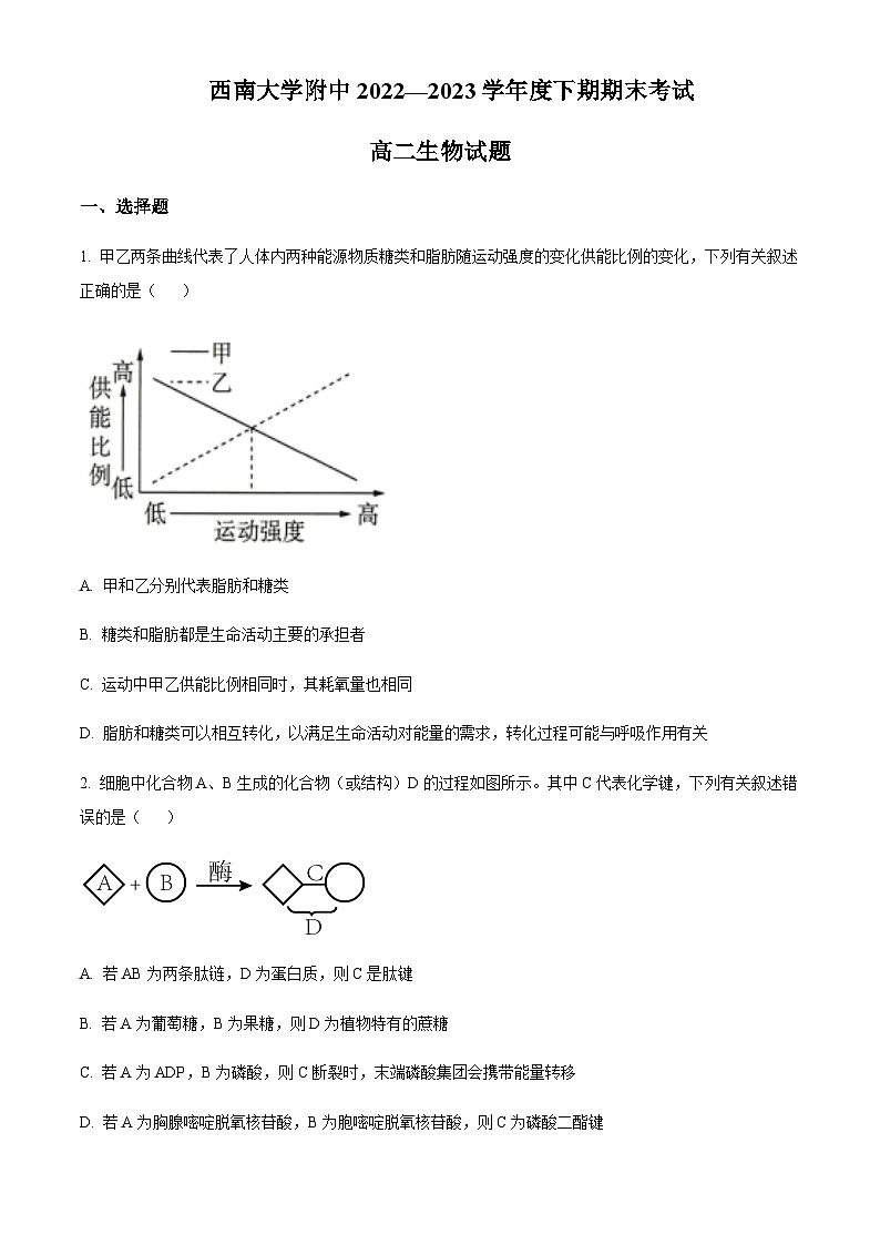 2022-2023学年重庆市西南大学附属中学高二下学期期末生物试题含答案01