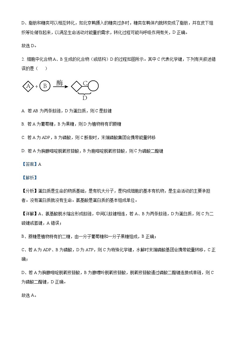 2022-2023学年重庆市西南大学附属中学高二下学期期末生物试题含答案02
