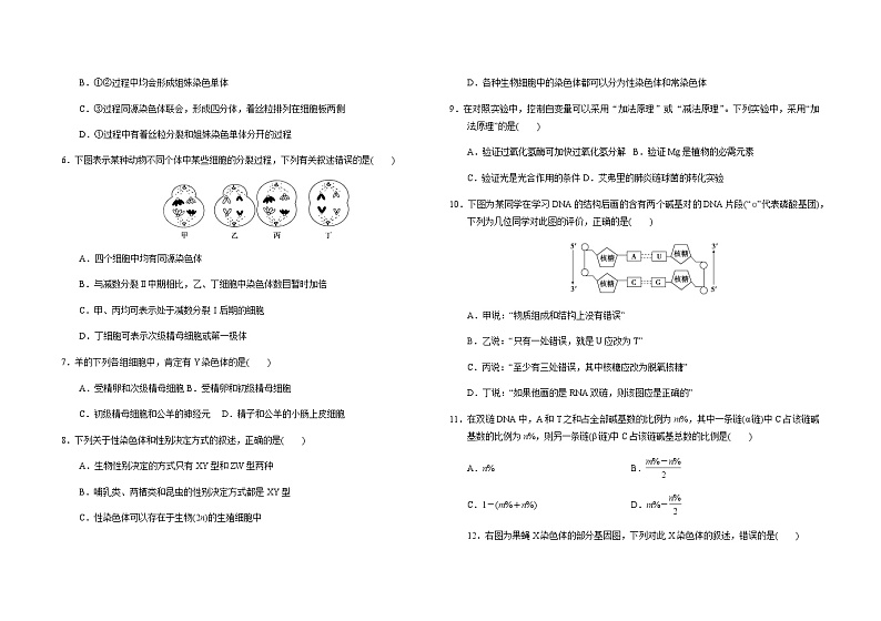 2022-2023学年吉林省长春市朝阳区长春外国语学校高二下学期开学生物试题含答案第2页