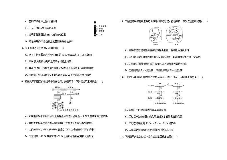 2022-2023学年吉林省长春市朝阳区长春外国语学校高二下学期开学生物试题含答案第3页