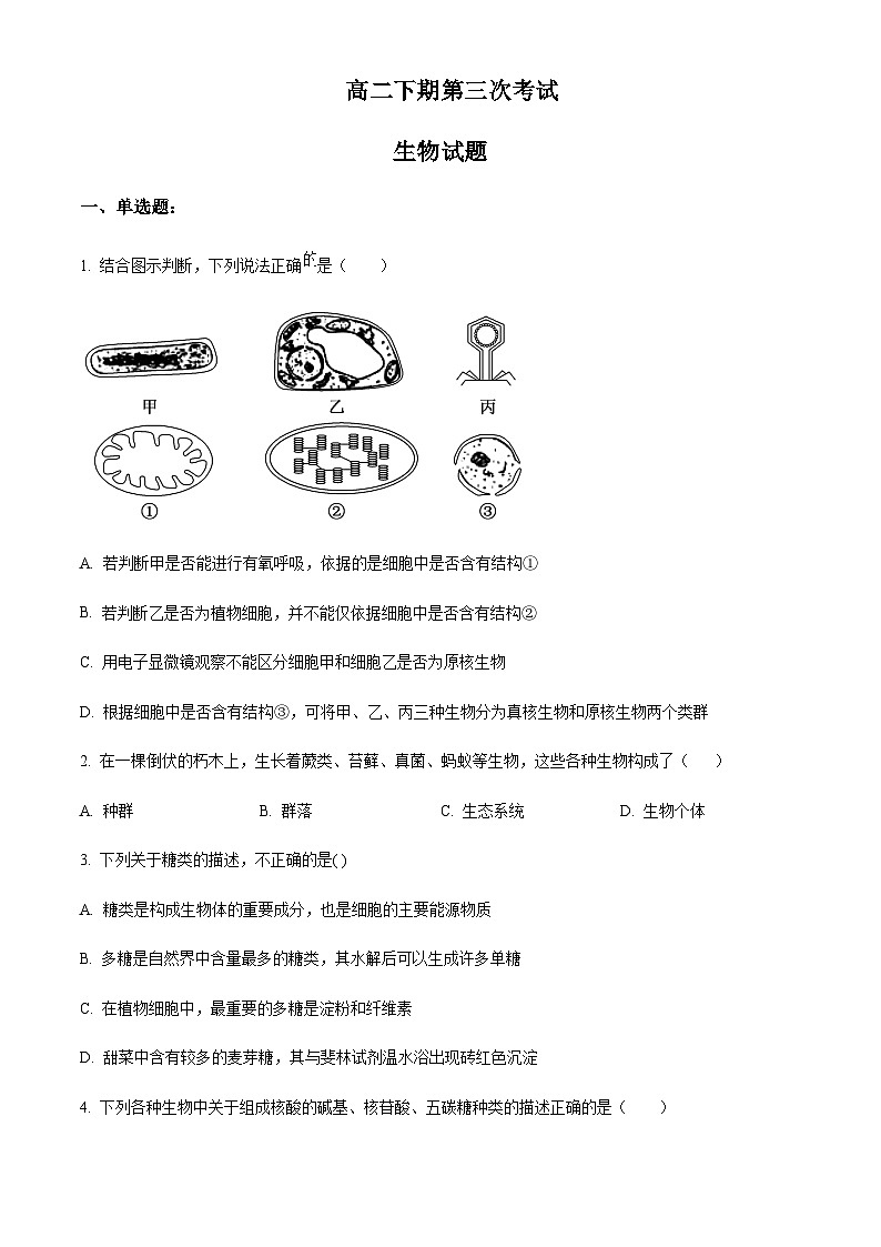 2022-2023学年四川省南充市嘉陵第一中学高二下学期6月月考生物试题含答案01