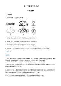 2022-2023学年四川省南充市嘉陵第一中学高二下学期6月月考生物试题含答案