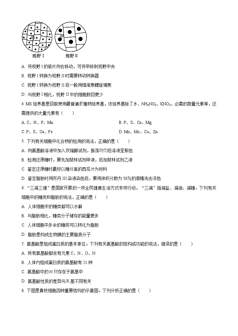 2024保定高一上学期选科调考第二次联考（期中）试题生物含答案02
