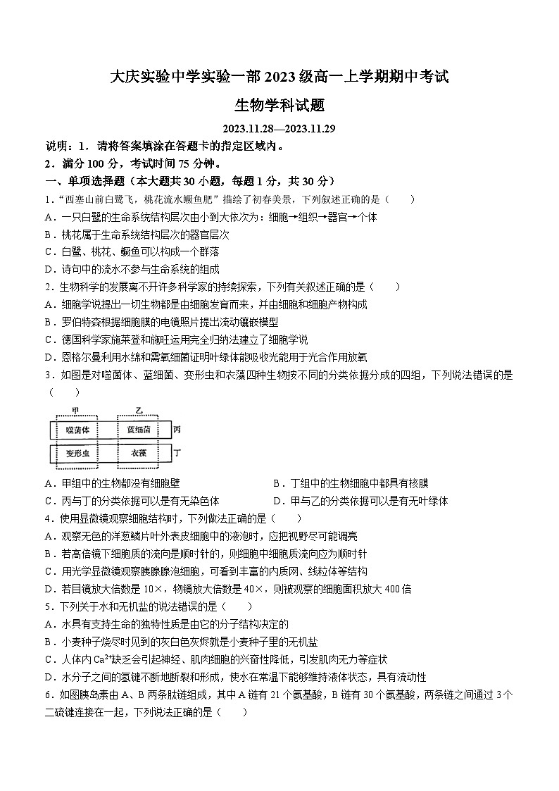 2024省大庆实验中学高一上学期期中生物试题含答案01