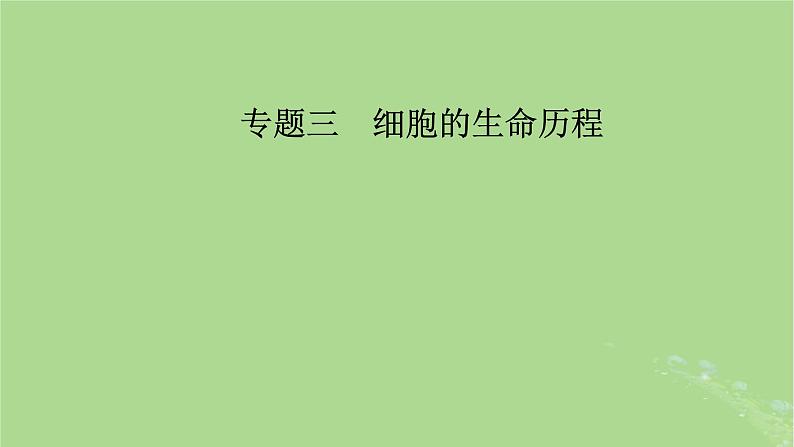 新教材适用2024版高考生物二轮总复习第1部分核心考点突破专题3细胞的生命历程课件第2页