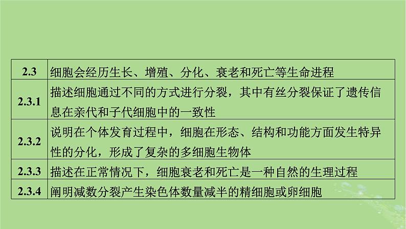 新教材适用2024版高考生物二轮总复习第1部分核心考点突破专题3细胞的生命历程课件第5页