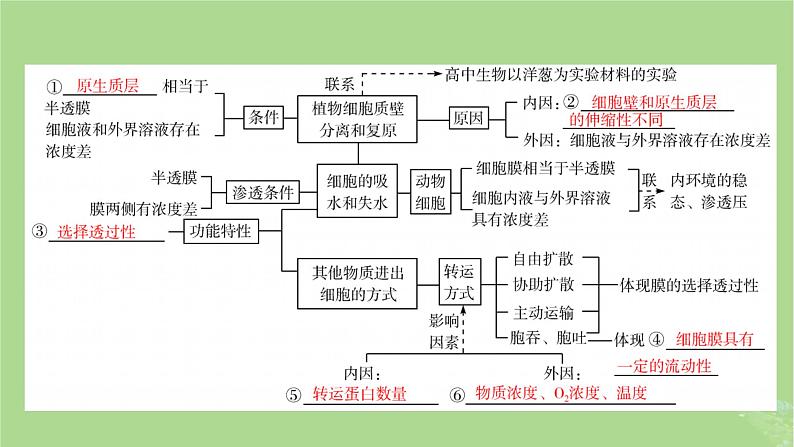 新教材适用2024版高考生物二轮总复习第1部分核心考点突破专题1细胞的物质基础与结构基础第3讲物质通过被动运输主动运输等方式进出细胞课件07