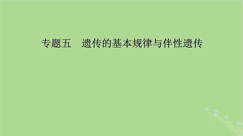 新教材适用2024版高考生物二轮总复习第1部分核心考点突破专题5遗传的基本规律与伴性遗传课件第2页