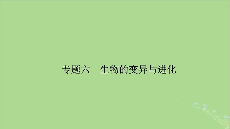 新教材适用2024版高考生物二轮总复习第1部分核心考点突破专题6生物的变异与进化课件02