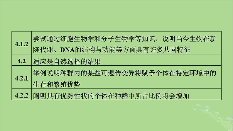 新教材适用2024版高考生物二轮总复习第1部分核心考点突破专题6生物的变异与进化课件07