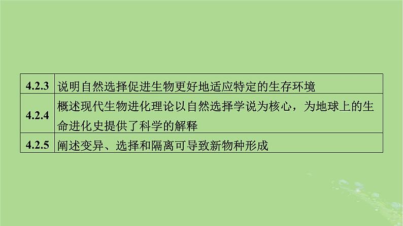 新教材适用2024版高考生物二轮总复习第1部分核心考点突破专题6生物的变异与进化课件08