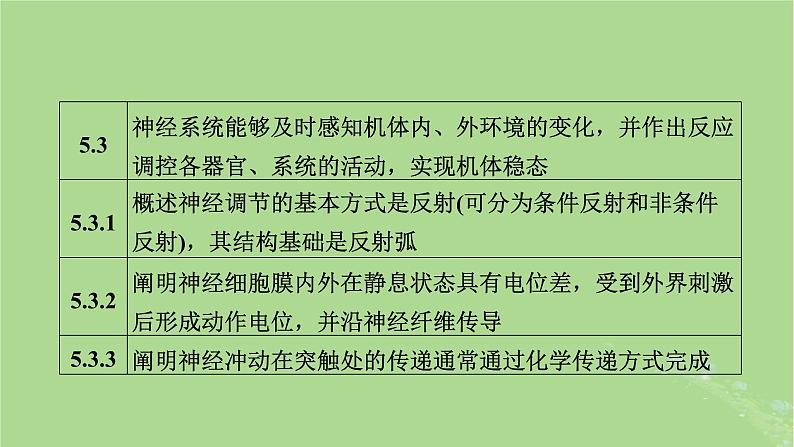 新教材适用2024版高考生物二轮总复习第1部分核心考点突破专题7生命活动的调节第2讲神经调节与体液调节课件05