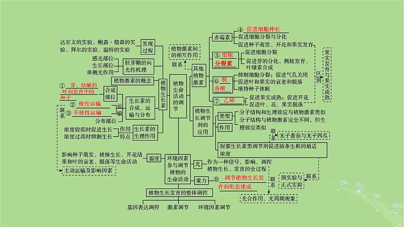 新教材适用2024版高考生物二轮总复习第1部分核心考点突破专题7生命活动的调节第3讲植物生命活动的调节课件第7页