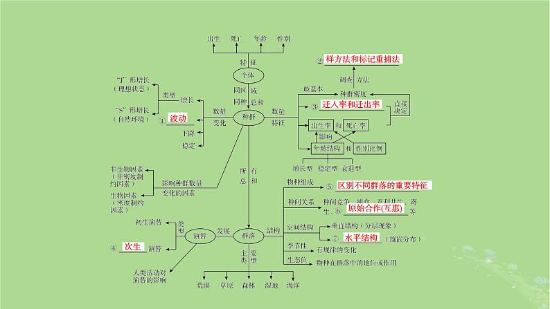 新教材适用2024版高考生物二轮总复习第1部分核心考点突破专题8生物与环境第1讲种群与群落课件08