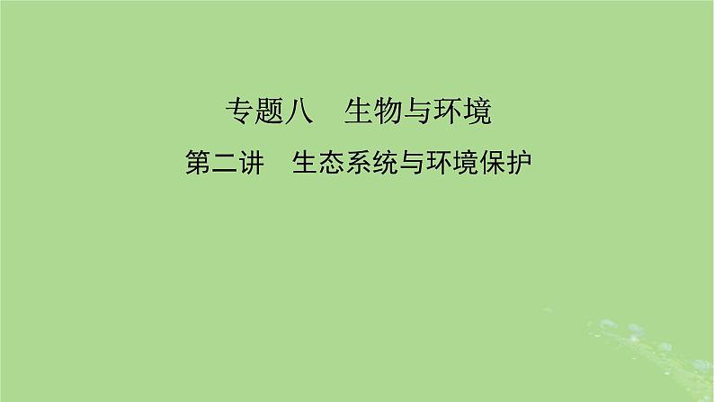 新教材适用2024版高考生物二轮总复习第1部分核心考点突破专题8生物与环境第2讲生态系统与环境保护课件第2页