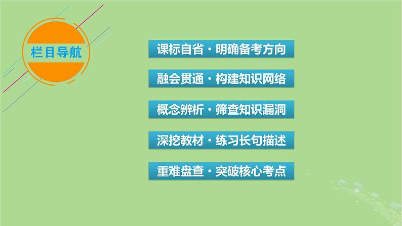 新教材适用2024版高考生物二轮总复习第1部分核心考点突破专题9生物技术与工程第1讲发酵工程课件第3页