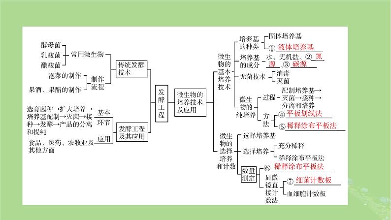 新教材适用2024版高考生物二轮总复习第1部分核心考点突破专题9生物技术与工程第1讲发酵工程课件第8页