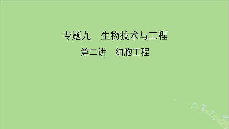 新教材适用2024版高考生物二轮总复习第1部分核心考点突破专题9生物技术与工程第2讲细胞工程课件02