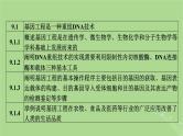 新教材适用2024版高考生物二轮总复习第1部分核心考点突破专题9生物技术与工程第3讲基因工程与生物技术的安全性和伦理问题课件