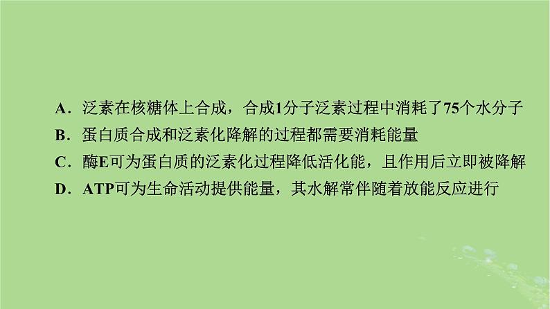 新教材适用2024版高考生物二轮总复习第2部分核心素养提升一核心素养之生命观念课件07