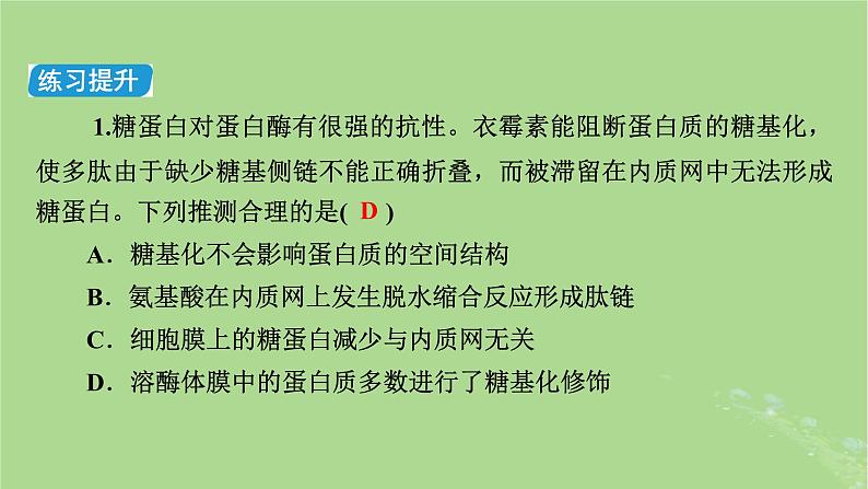 新教材适用2024版高考生物二轮总复习第2部分核心素养提升二核心素养之科学思维课件第4页