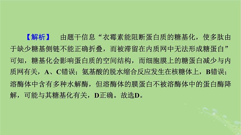 新教材适用2024版高考生物二轮总复习第2部分核心素养提升二核心素养之科学思维课件第5页