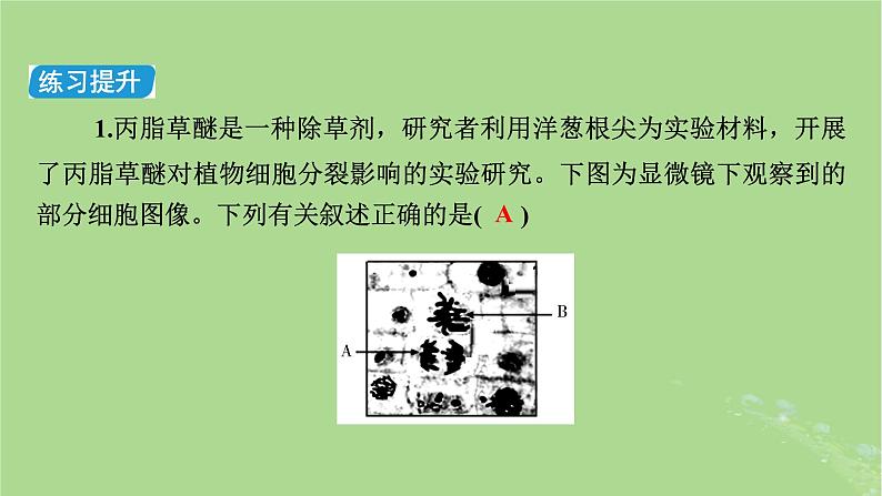 新教材适用2024版高考生物二轮总复习第2部分核心素养提升三核心素养之科学探究课件第4页