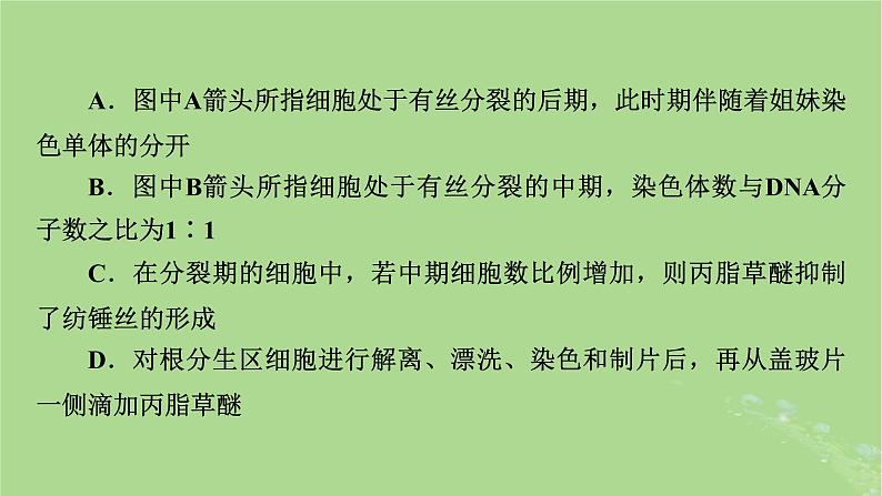 新教材适用2024版高考生物二轮总复习第2部分核心素养提升三核心素养之科学探究课件第5页