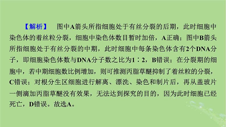 新教材适用2024版高考生物二轮总复习第2部分核心素养提升三核心素养之科学探究课件第6页