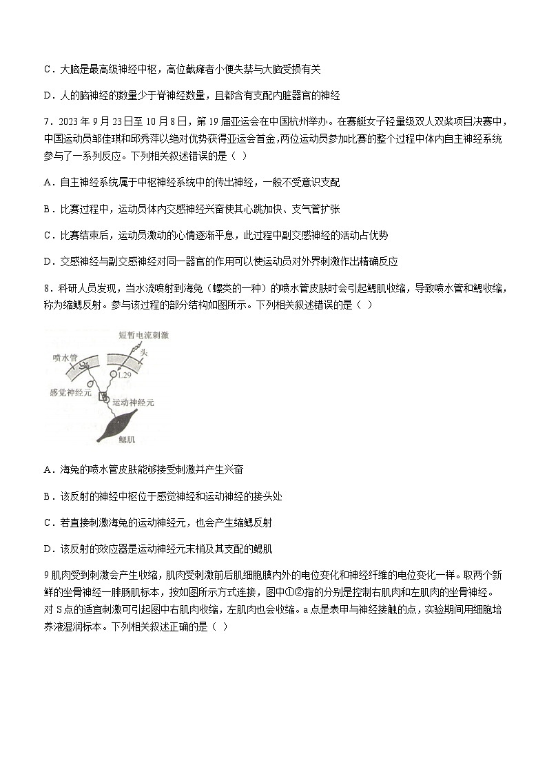 2023-2024学年安徽省合肥市第一中学高二上学期期中考试生物试题含答案03