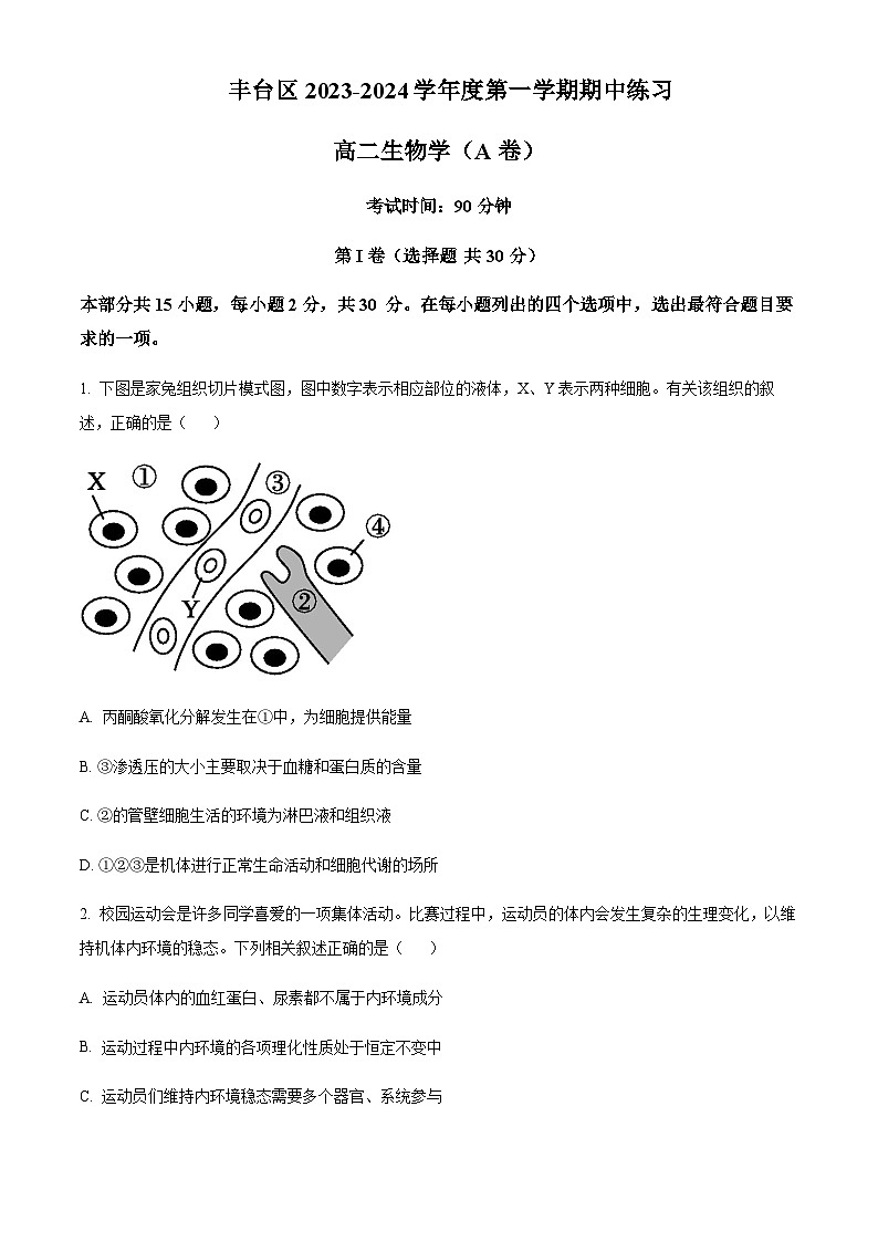 2023-2024学年北京市丰台区二中高二上学期期中生物试题A卷含答案01