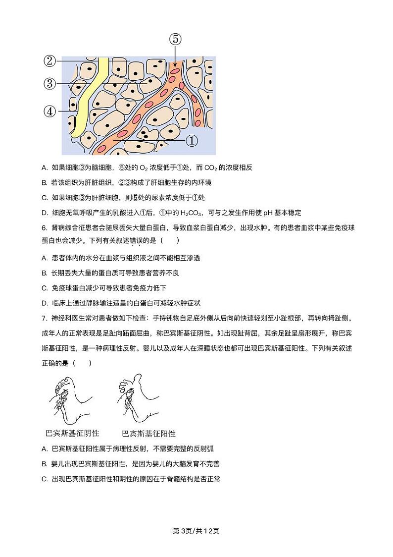 2023-2024学年福建省泉州四校联考高二11月期中生物试题含答案03