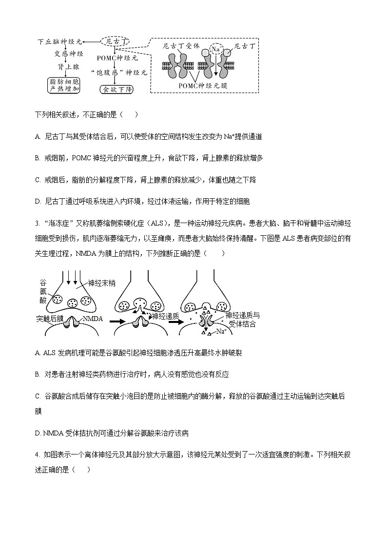 2023-2024学年河南省开封市高中五县联考高二上学期期中考试生物含答案02