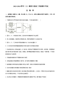 2023-2024学年河南省南阳一中六校高二上学期期中考试生物含答案