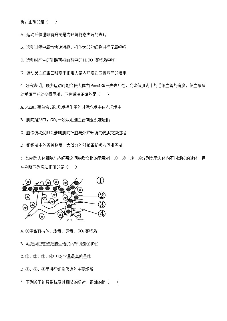 2023-2024学年吉林省长春市东北师范大学附属中学高二上学期期中考试生物含答案02