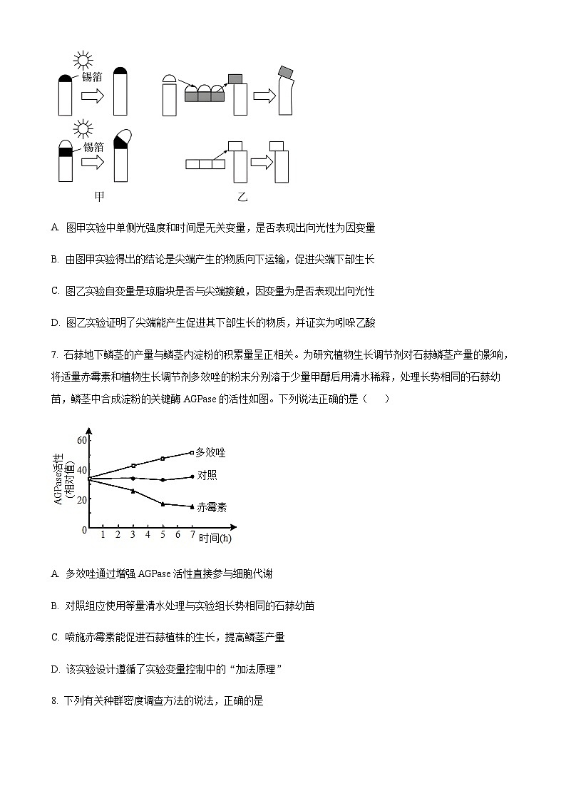 2023-2024学年江苏省泰州市靖江高级中学高二上学期期中考试生物含答案03
