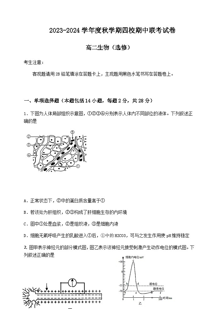 2023-2024学年江苏省无锡市江阴江阴高级中学中学四校高二上学期期中联考试题生物含答案01