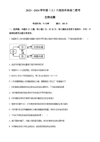 2023-2024学年辽宁省实验中学六校协作体高二上学期期中联考试题生物含答案