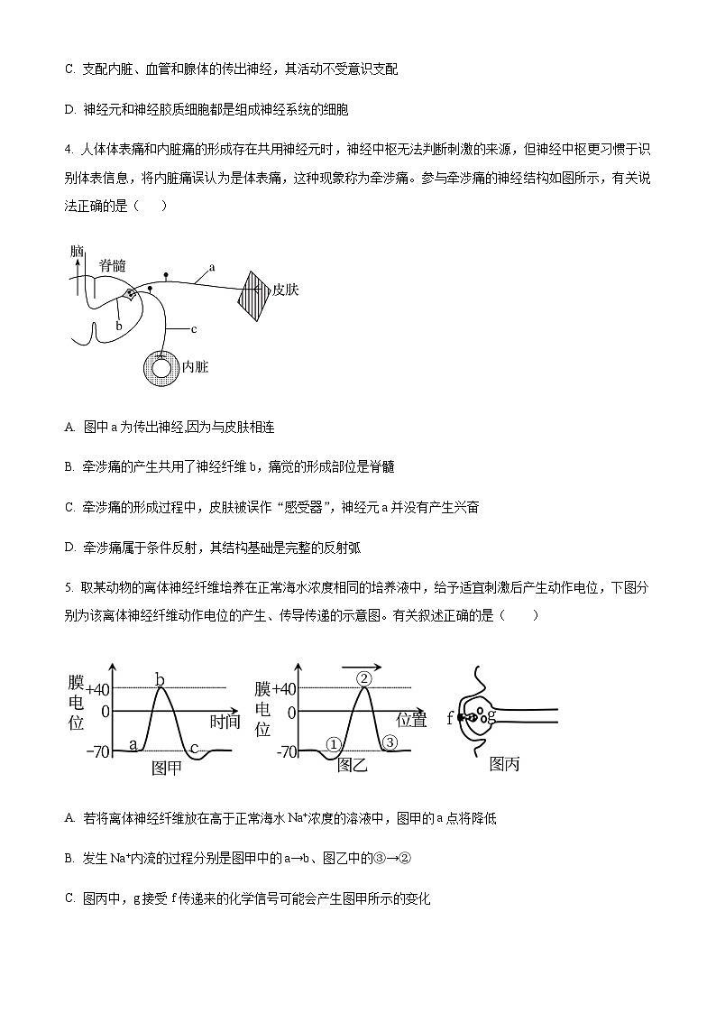 2023-2024学年辽宁省实验中学六校协作体高二上学期期中联考试题生物含答案第2页