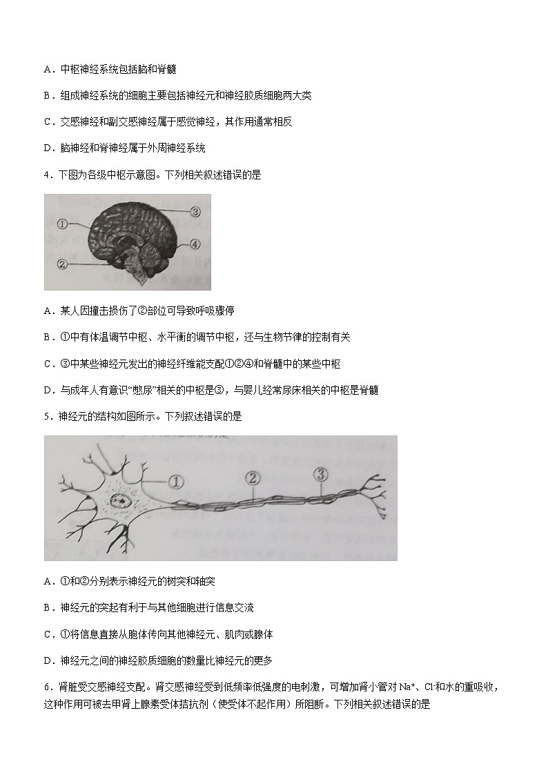 2023-2024学年内蒙古呼和浩特市第一中学高二上学期期中生物试题含答案02