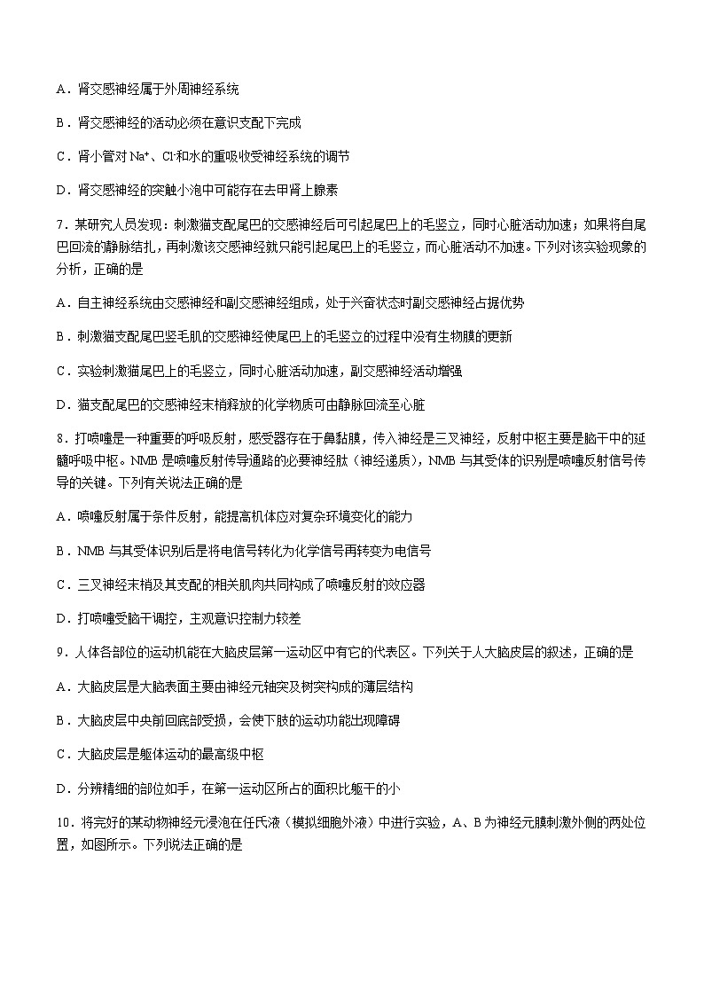 2023-2024学年内蒙古呼和浩特市第一中学高二上学期期中生物试题含答案03