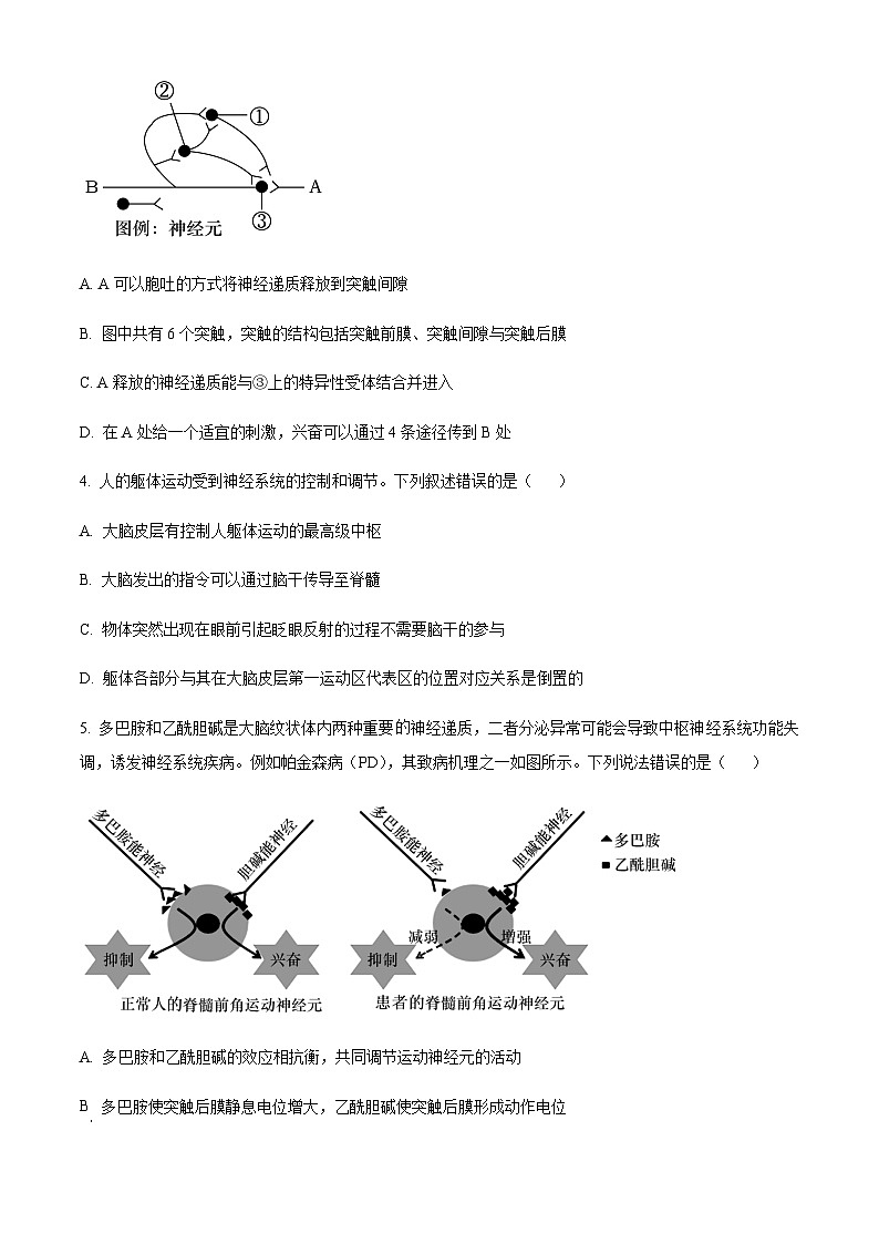 2023-2024学年山东省烟台市高二上学期期中考试生物含答案02