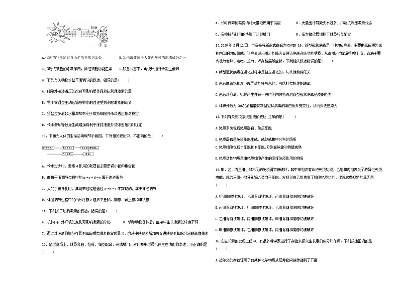 2023-2024学年陕西省西安市蓝田县乡镇高中联考高二上学期期中生物试题含答案第2页