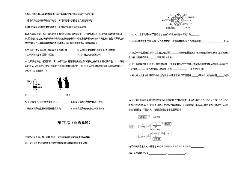 2023-2024学年陕西省西安市蓝田县乡镇高中联考高二上学期期中生物试题含答案第3页