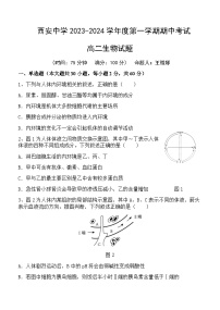 2023-2024学年陕西省西安中学高二上学期期中考试生物含答案